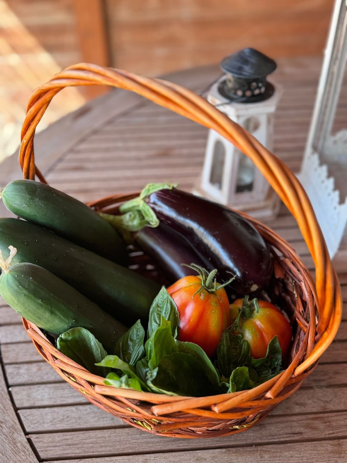 Cesto con il raccolto: cetrioli, melanzane, pomodori e basilico